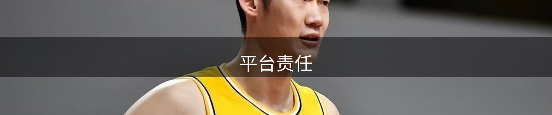 平台责任