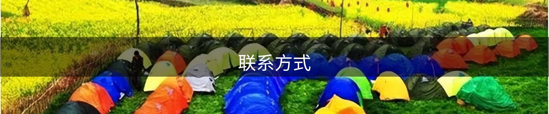 联系方式